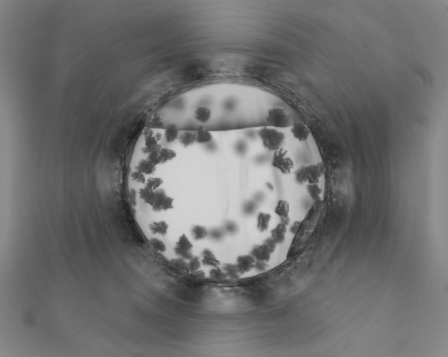 X0000111460372200908241324