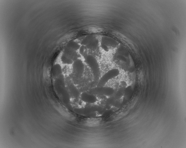 X0000111460373200908241324