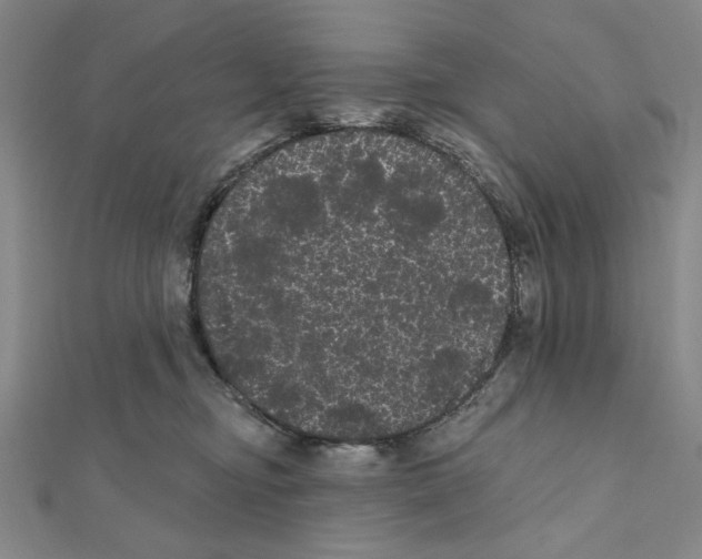 X0000111460374200908241324