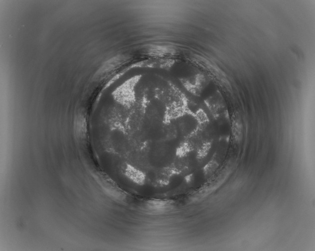 X0000111460375200908241324