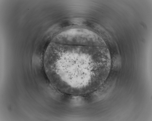 X0000111460376200908241324