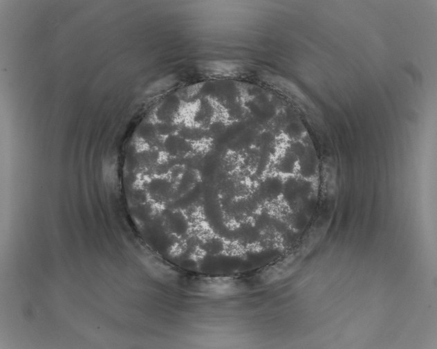 X0000111460377200908241324