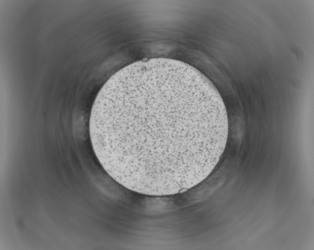 X0000111460378200908241324