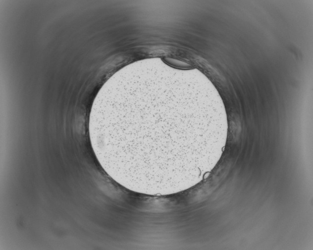 X0000111460379200908241324