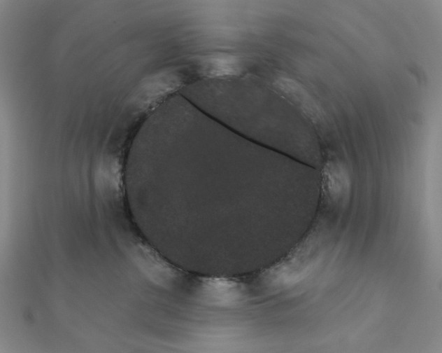 X0000111460380200908241324