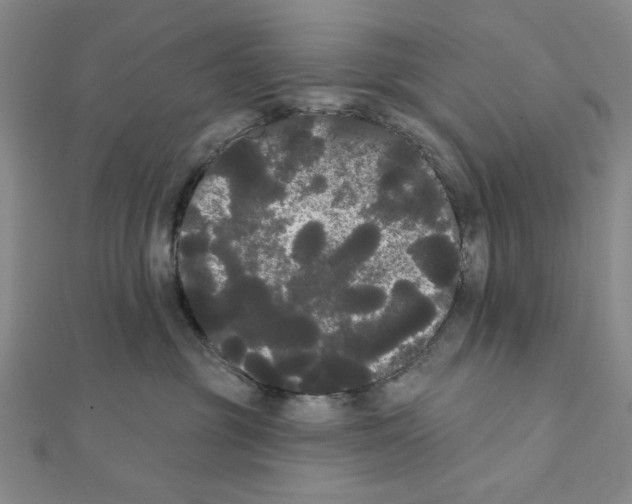 X0000111460381200908241324