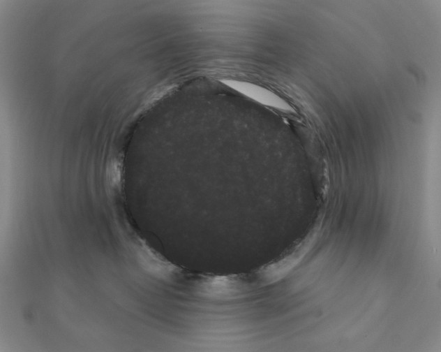 X0000111460382200908241324