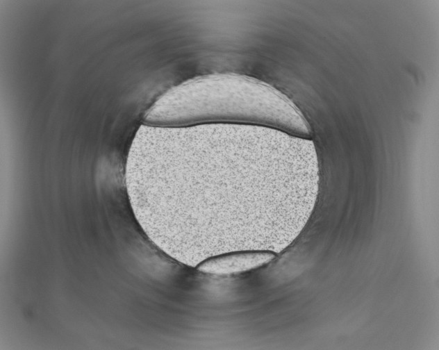 X0000111460384200908241324