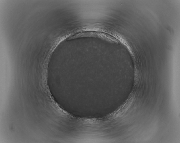 X0000111460385200908241324
