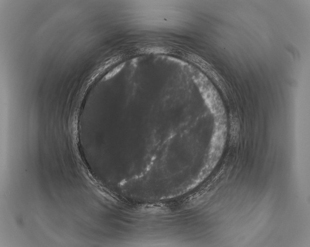 X0000111460386200908241324