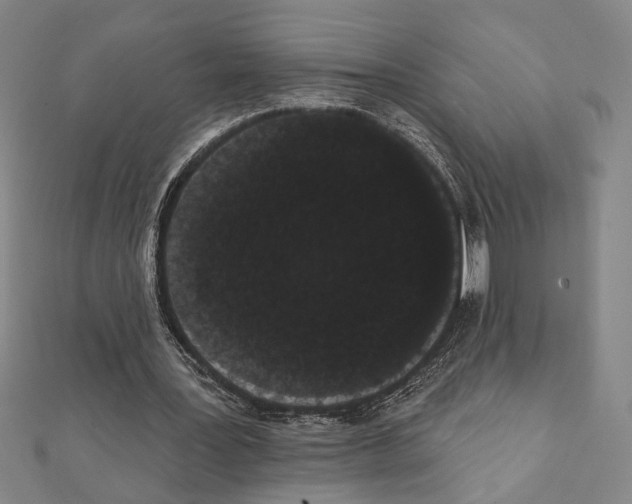 X0000111460387200908241324