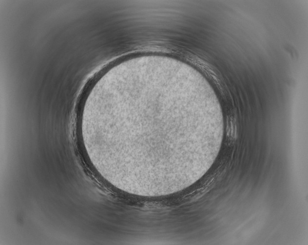 X0000111460388200908241324