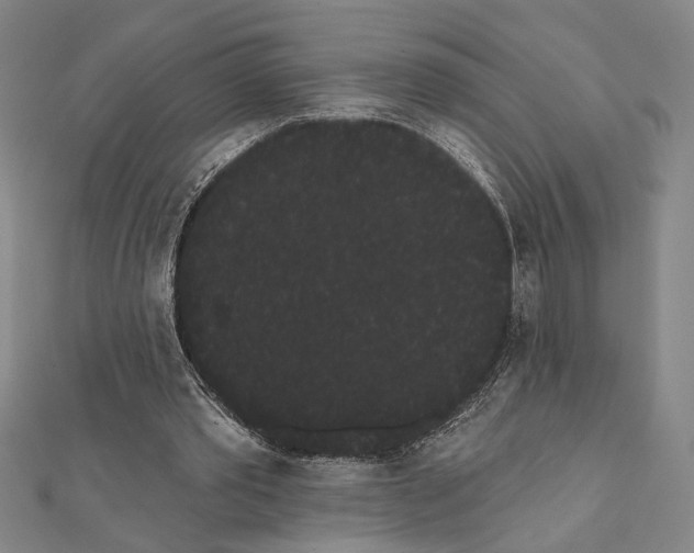 X0000111460389200908241324