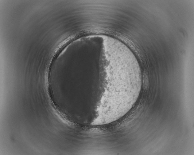 X0000111460390200908241324