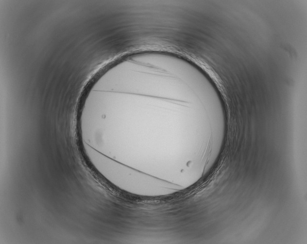 X0000111460391200908241324