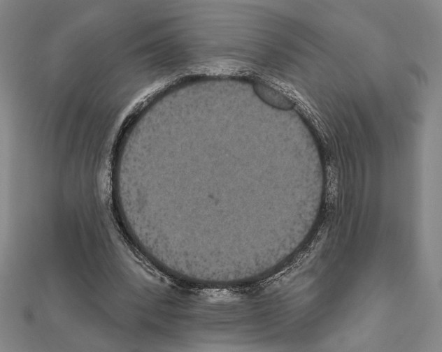 X0000111460392200908241324