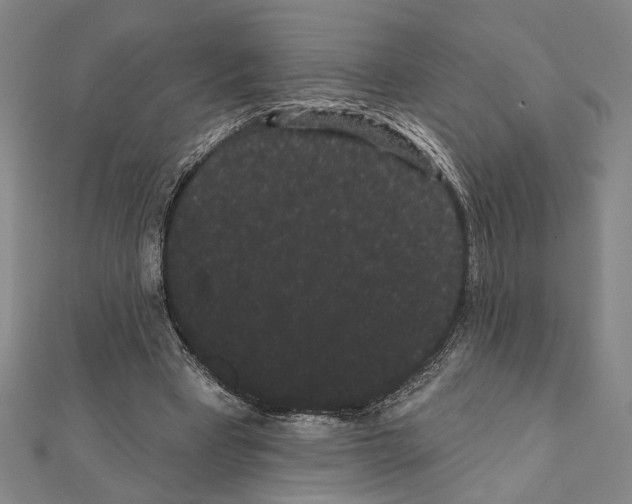 X0000111460393200908241324