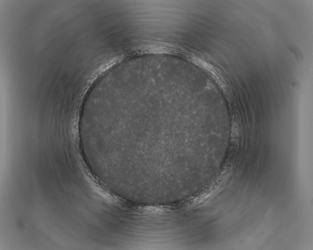 X0000111460394200908241324