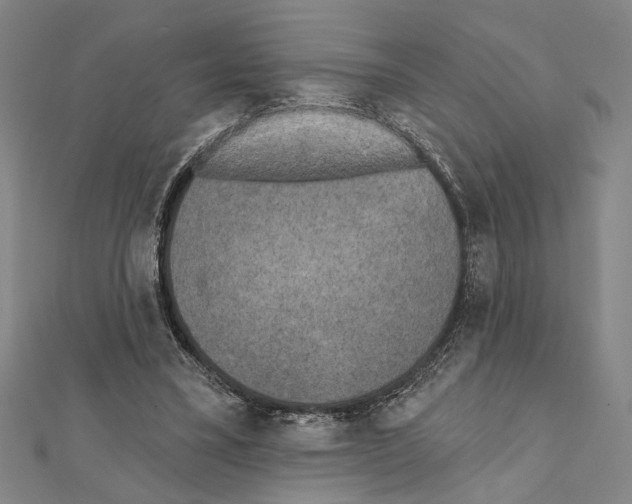 X0000111460395200908241324