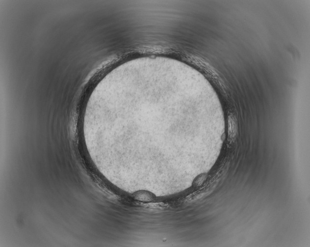 X0000111460396200908241324
