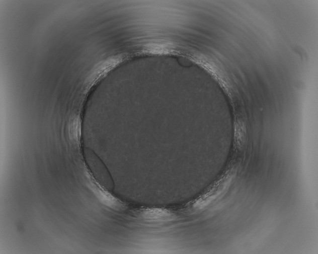 X0000111460397200908241324