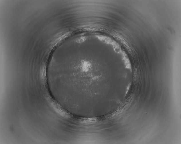 X0000111460398200908241324