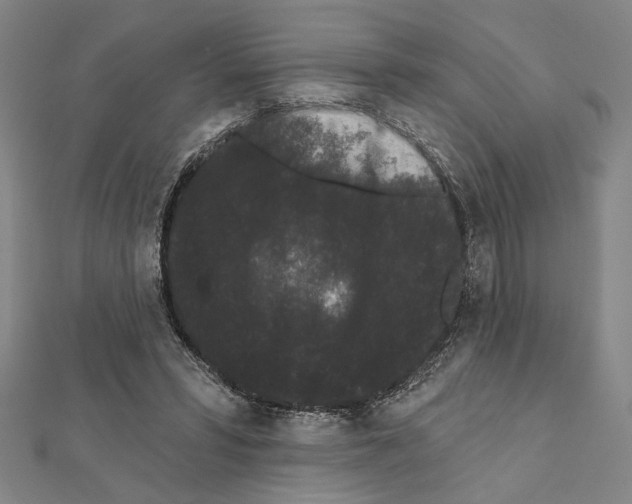 X0000111460399200908241324