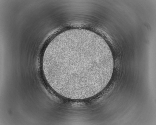X0000111460400200908241324