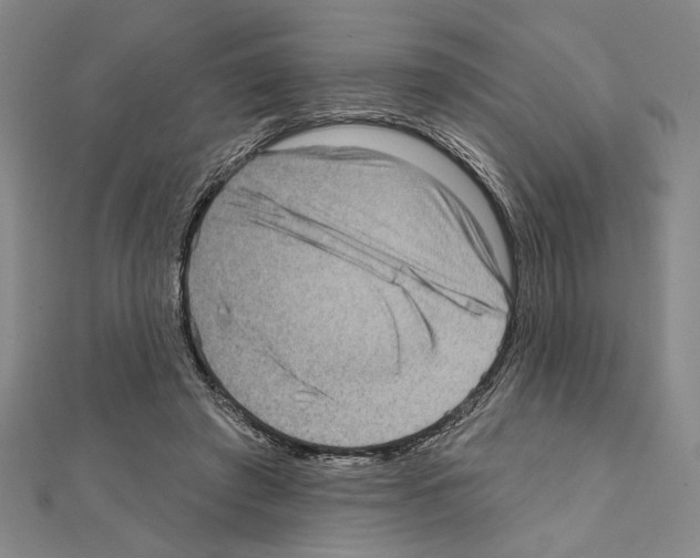 X0000111460401200908241324