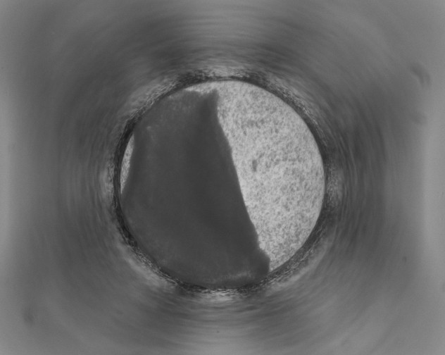X0000111460402200908241324