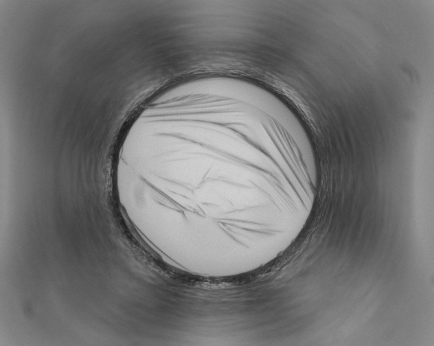 X0000111460403200908241324