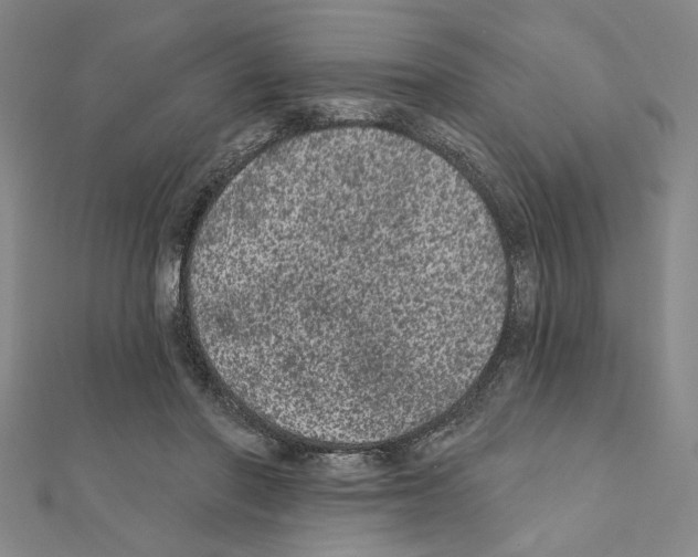X0000111460406200908241324