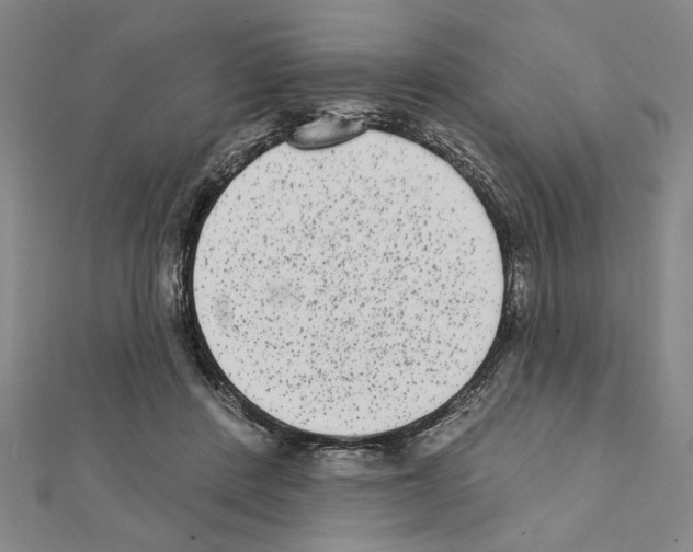 X0000111460408200908241324