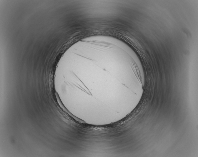X0000111460409200908241324