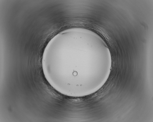 X0000111460411200908241324