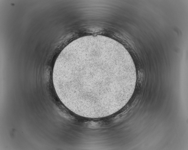 X0000111460412200908241323