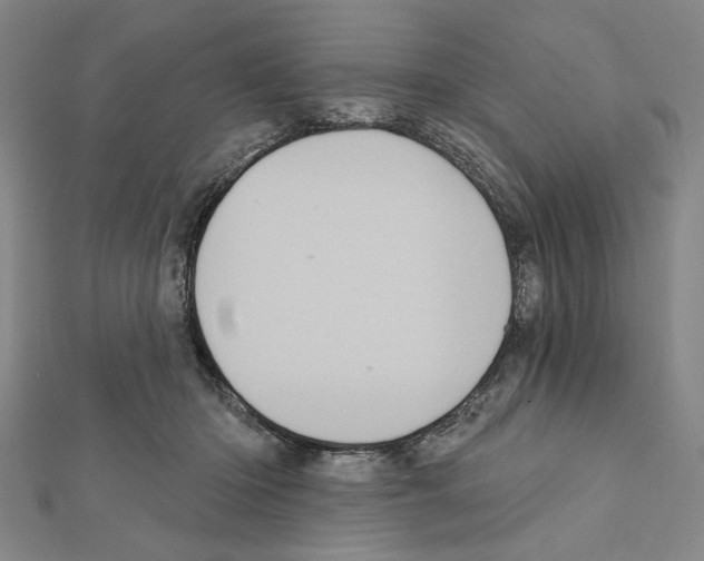 X0000111460414200908241323