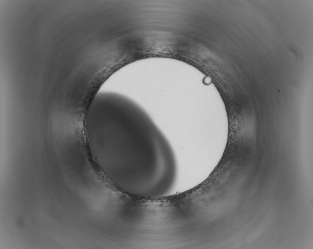 X0000111460415200908241323