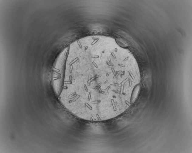 X0000111460417200908241323