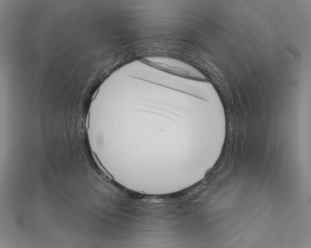 X0000111460419200908241323