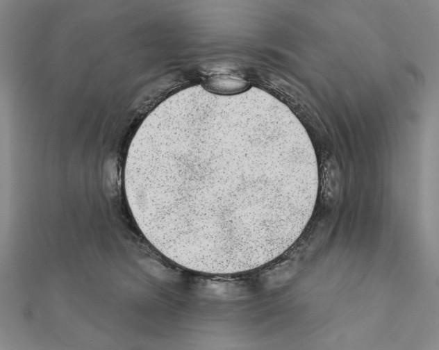X0000111460420200908241323