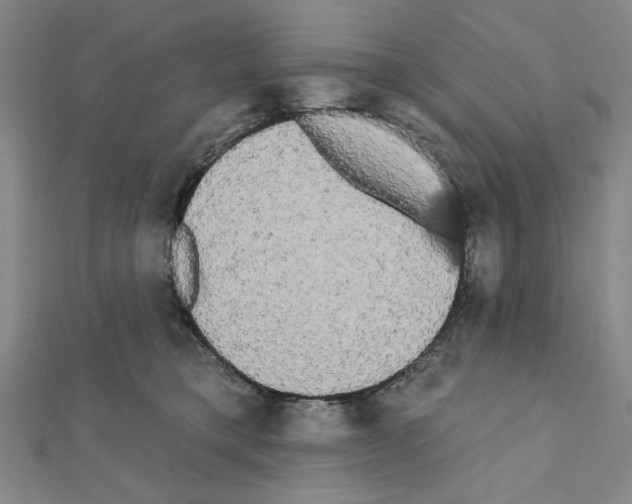 X0000111460421200908241323