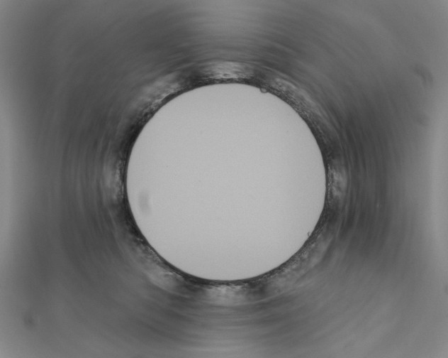 X0000111460422200908241323