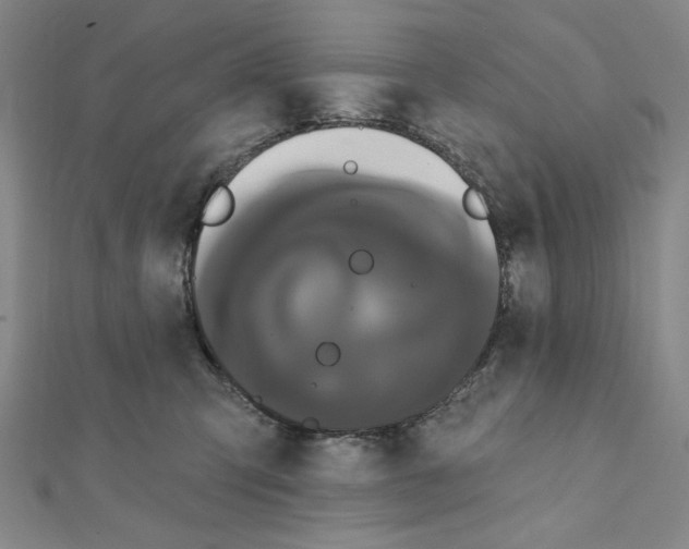 X0000111460423200908241323