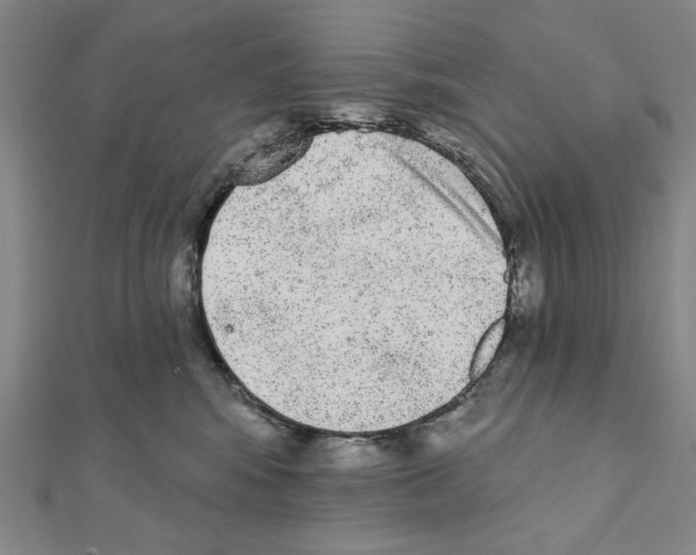 X0000111460424200908241323