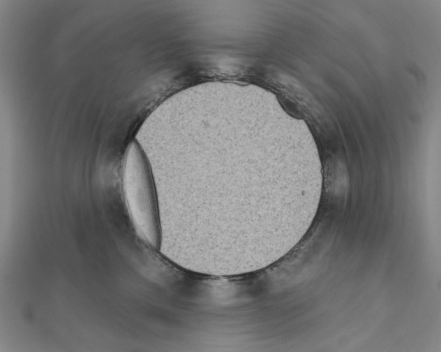 X0000111460425200908241323