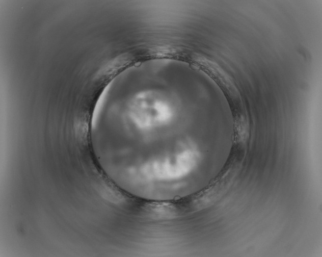 X0000111460427200908241323