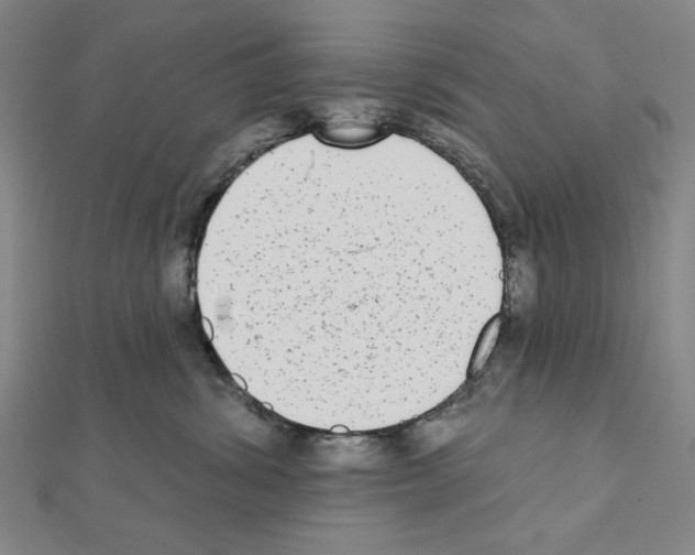 X0000111460428200908241323