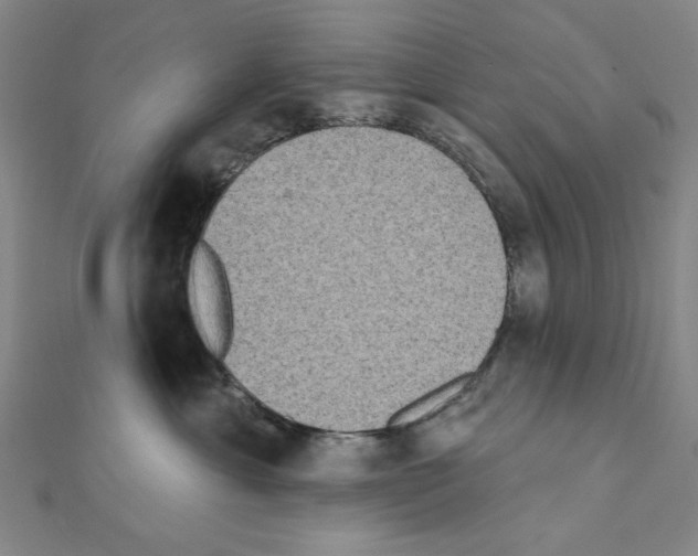 X0000111460429200908241323