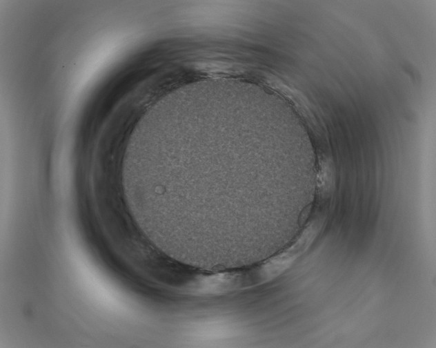 X0000111460430200908241323